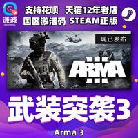 steam 武装突袭3 Arma 3 国区激活码cdkey 中文 PC 正版游戏