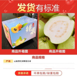 榴汁乡 芭乐番石榴新鲜现摘云南白心芭乐热带孕妇水果软糯香甜