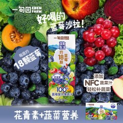 一甸园 蓝莓味100%果蔬汁蓝莓汁10种蔬菜补充花青素饮品健康饮料