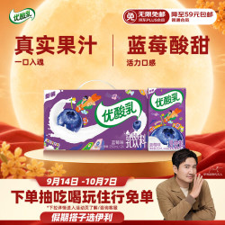 伊利 优酸乳 乳饮料 蓝莓味 250ml*24盒