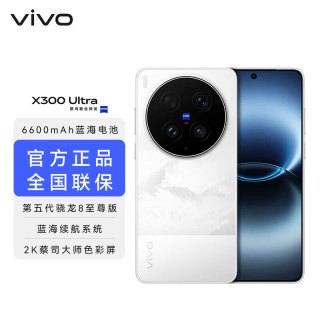 vivo x300 ultra 2K蔡司大师色彩屏 第五代骁龙8至尊版 6600mAh蓝海电池 新品5G手机 银调 12GB+256GB 官方标配