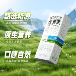 小西牛 青藏奶源纯牛奶250ml*20盒