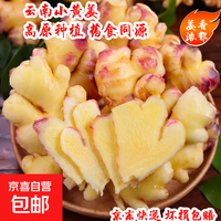 京喜通 云南农家自种小黄姜生姜新鲜老姜土姜产地直发 净重 1斤 云南小黄姜产地直发