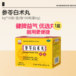 药王孙真人 参苓白术丸中药白术散健脾祛湿茯苓消湿颗粒浓缩丸正品官方旗舰店
