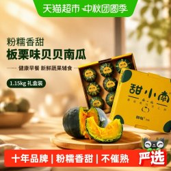 甜小南 贝贝南瓜南瓜礼盒2.3斤粉糯香甜板栗味