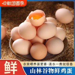 倚竹林 当日现捡谷饲鲜鸡蛋新鲜初生蛋家用整箱