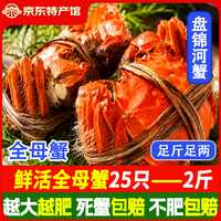 稻田河蟹鲜活盘锦稻田蟹 手工挑选无绳净重顺丰特快包邮 全母蟹丨0.8-1两25只