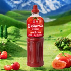 海天 精选番茄沙司1.3kg大瓶挤挤装家用商用摆摊拌面冷意面蕃茄膏