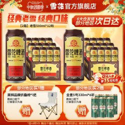 雪花 共24听沈阳经典老雪花500ml*12听装*2箱整箱 雪花啤酒官方旗舰店