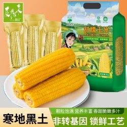 辰旭稼禾 东北黄糯玉米大棒当季鲜食大粒苞米真空锁鲜软糯香甜