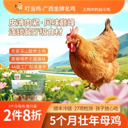 真正宗土鸡农家散养白切老母鸡整只跑山走地鸡新鲜竹林老品种麻鸡