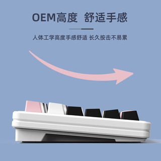 新盟 PBT双色注塑OEM高度键帽