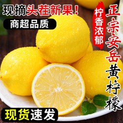现摘黄柠檬新鲜当季水果皮薄多汁鲜果整箱批发泡水茶饮非香水柠檬