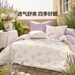 LOVO 100%全棉四件套 220*240cm 床单被套