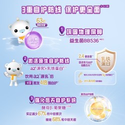 a2 臻智护儿童调制乳粉