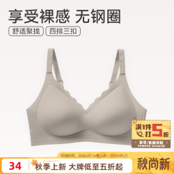 芬腾 小冰皮文胸  FB25690154咖灰 2XL