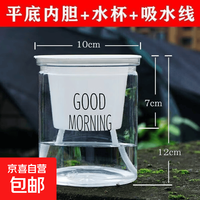 自动吸水花盆个（9.9包邮页面10/14/18点抢券）