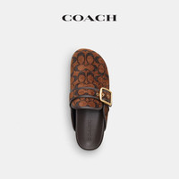 COACH 新品女士女鞋经典标志绳绒织物ARCHIVAL针扣拖鞋勃肯鞋 松露色 39