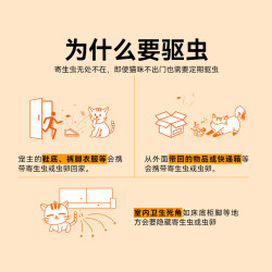金宇 大宠爱幼猫体内外同驱滴剂 1支