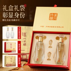 泸州老窖 泸州特酿典藏52度浓香型白酒双支礼盒节日送礼500ml*2瓶