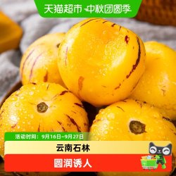 鲜蜂队 云南石林人参果 黄肉大果 500g