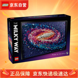 乐高 艺术生活系列 31212 银河系
