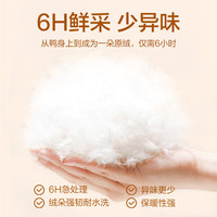 网易严选 90白鸭绒防水防风 暖灰褐 XL 女士羽绒服