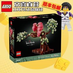 乐高 创意IDEAS系列21365爱情鸟粉红鸟男女孩拼搭玩具情人礼物