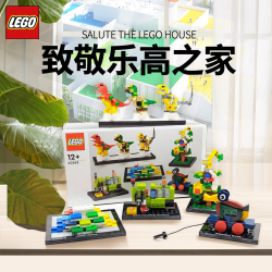 乐高 之家系列 40563 向乐高之家致敬