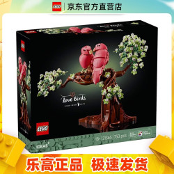 乐高 21365 爱情鸟 创意IDEAS系列成人粉丝收藏款积木玩具生日礼物