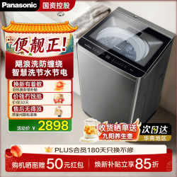 Panasonic 大海象波轮洗衣机全自动 XQB120-Q201 12KG