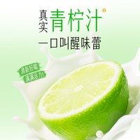 君乐宝 简醇青柠口味酸奶 255g*10瓶