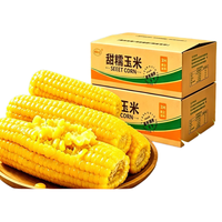 馋乡玉 东北黄糯玉米 220g*6支