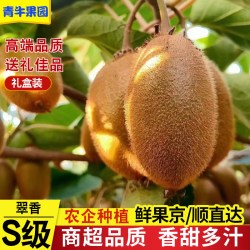 陕西周至翠香猕猴桃 精品果王120g+ 18枚礼盒装 京/顺直达