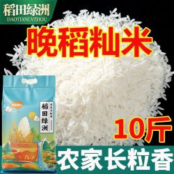 稻田绿洲 农家长粒香10斤南方籼米当季新米现磨现发大米煲仔饭用米