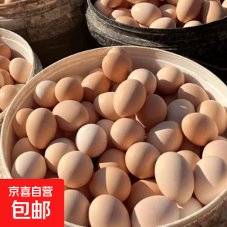 京喜 鲜鸡蛋初生蛋月子鸡蛋鲜鸡蛋柴鸡蛋现捡现发月子鸡蛋40-50g±5g 10枚土鸡蛋