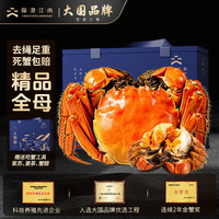 阳澄·江南 阳澄江南大闸蟹 全母蟹2.6-2.9两8只 鲜活螃蟹礼盒现货去绳足重 中秋过节送礼海鲜 螃蟹 大闸蟹