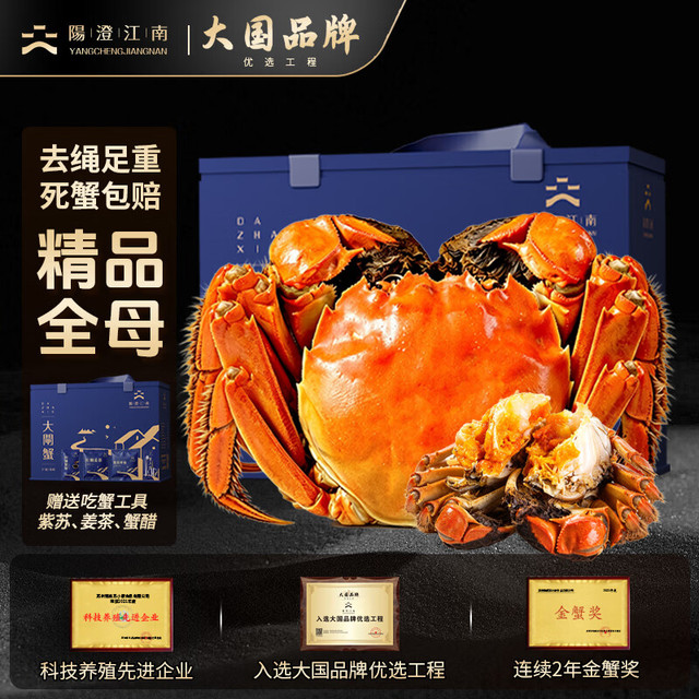 阳澄·江南 阳澄江南大闸蟹 全母蟹2.6-2.9两8只 鲜活螃蟹礼盒现货去绳足重 中秋过节送礼海鲜 螃蟹 大闸蟹