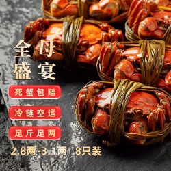 隆上記 大闸蟹 全母2.8-3.1两8只