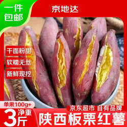 京地达 陕西临潼板栗红薯净重3斤中果100g+京东自营新鲜蔬菜源头直发包邮