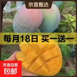京喜 解馋必备凯特芒，果肉饱满超实在 带箱1斤	净重0.7斤 300g+买一送一