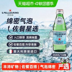 圣培露 充气天然矿泉水