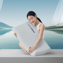 百丽丝 水星集团旗下 深睡慢回弹护颈记忆枕芯 (单只) 高枕