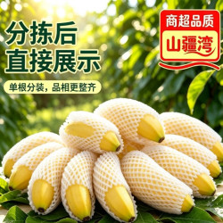 山疆湾 主产地直发广西南宁香蕉净重5斤新鲜水果当季现摘