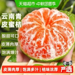 寻天果蔬 广西橘子青皮蜜桔橘子青桔应当季丑新鲜水果