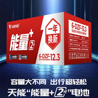 天能 真黑金高容版 铅酸电池 60V25Ah 5只装