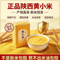 米益康 正宗陕北米脂黄小米山地种植当季新小米香糯粘稠早餐小米粥粗粮食
