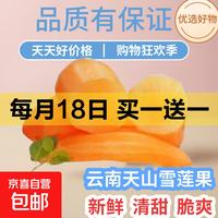 京喜 云南高山红泥沙雪莲果云南特产时令应季新鲜孕妇水果 [试吃装】小果带箱1斤