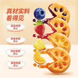 嘉士利 独立小包装 果酱夹心饼干  果乐混合口味 486g/盒 箱装