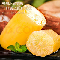 京喜 云南高山红泥沙雪莲果云南特产时令应季新鲜孕妇水果 [试吃装】小果带箱1斤